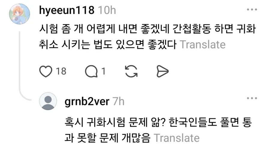 귀화시험 통과한 외국인한테 달린 악플 (3)