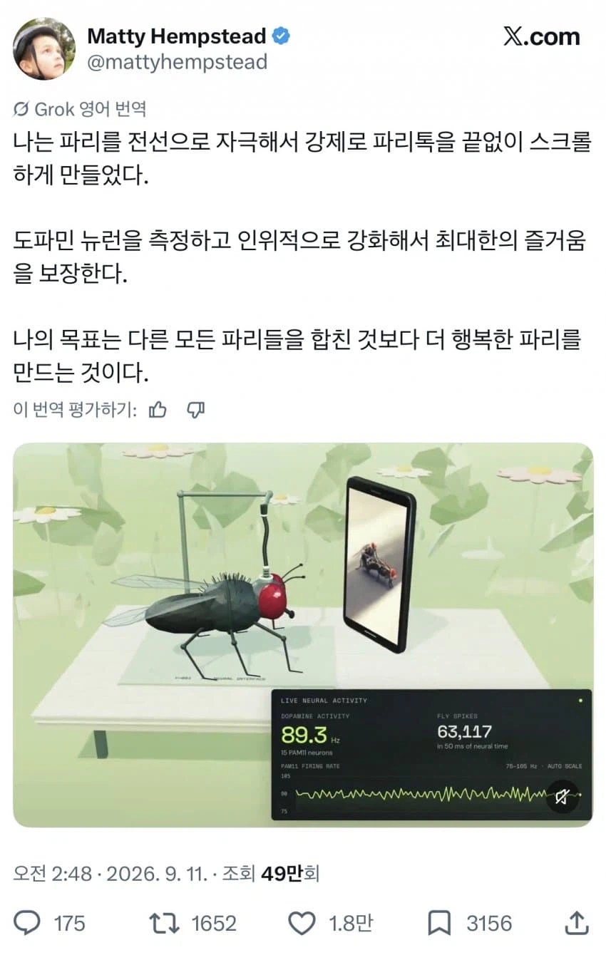 뇌 뚜따당한 초파리 근황.jyp