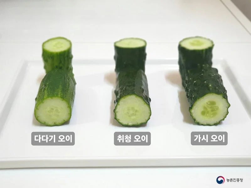 우리나라에서 수도권&충청도 / 전라도 / 경상도&제주도 지역마다 다르다는 채소 (9)
