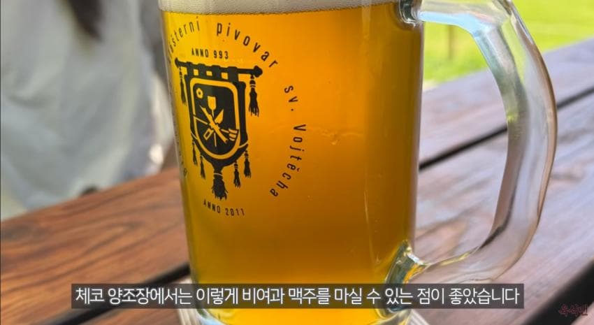체코 맥주 특집 : 맥주 한 병에 단돈 1,000원. 물보다 맥주가 싼곳 (26)