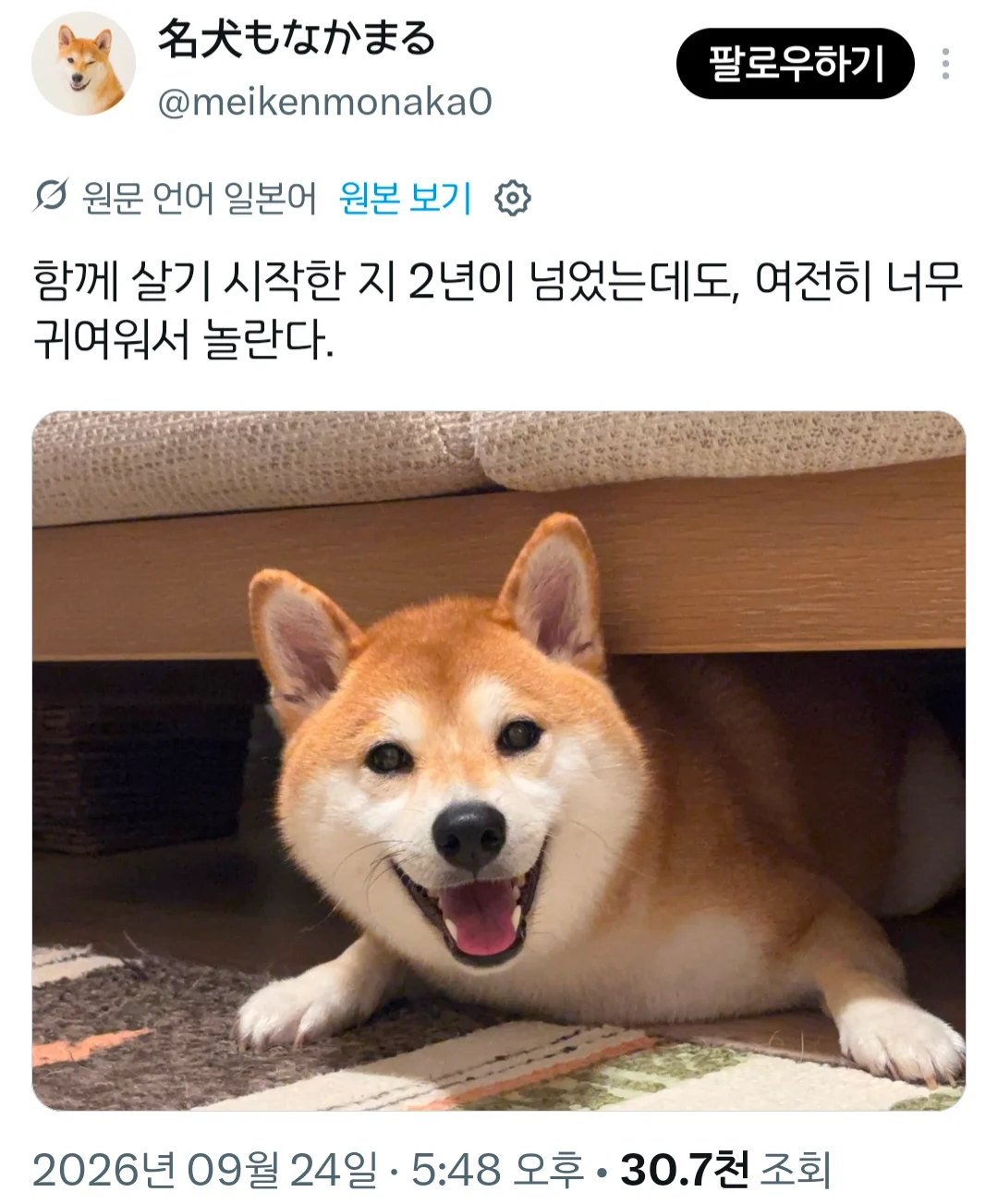 댕댕이와 몇년을 같이 살아도 적응 안된다는것