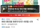 해태 홈런볼 메론우유맛 43g 16개 유니버스클럽