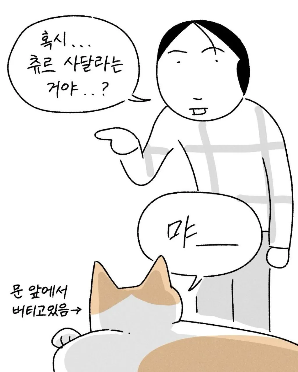 프로 츄르강탈 고양이