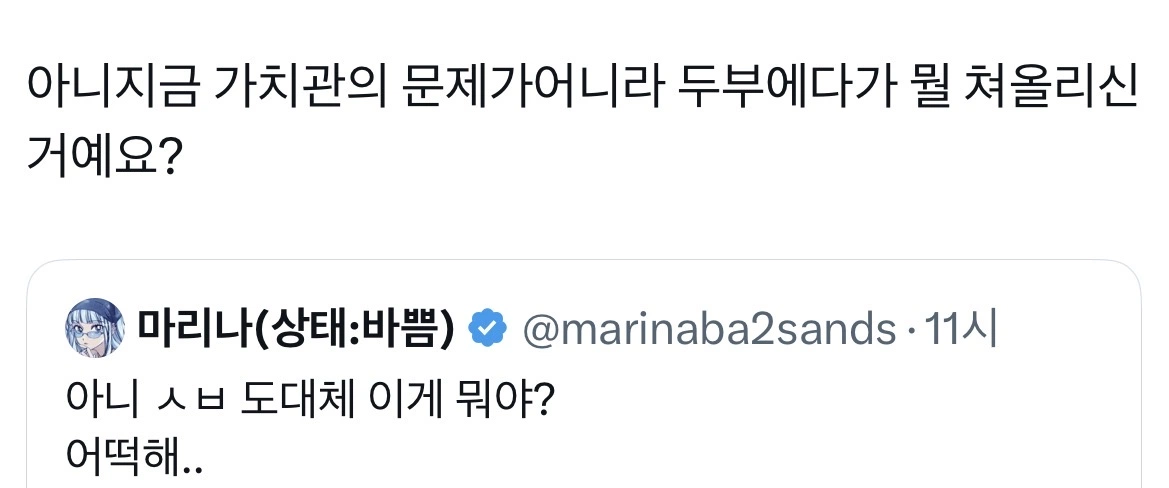 비혼 일침하는 유튜버에 경악하는 사람들.tofu