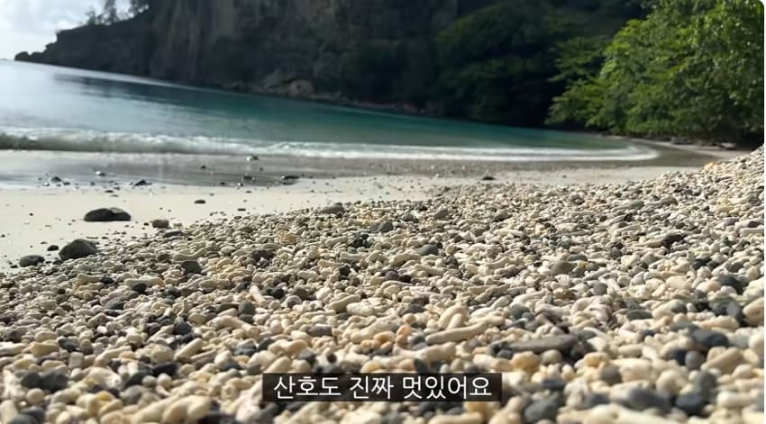 일본 부캉이 등장? 한국인이 좋아서 바다에 다이빙하면서 안부인사해주는일본 (15)