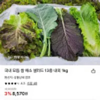 국내 모듬 쌈 채소 샐러드 13종 내외 1kg