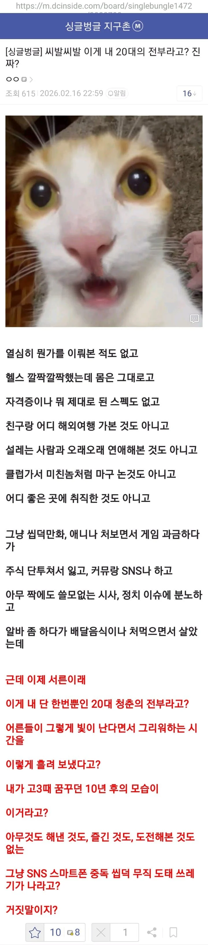 이게 내 20대의 전부라고??