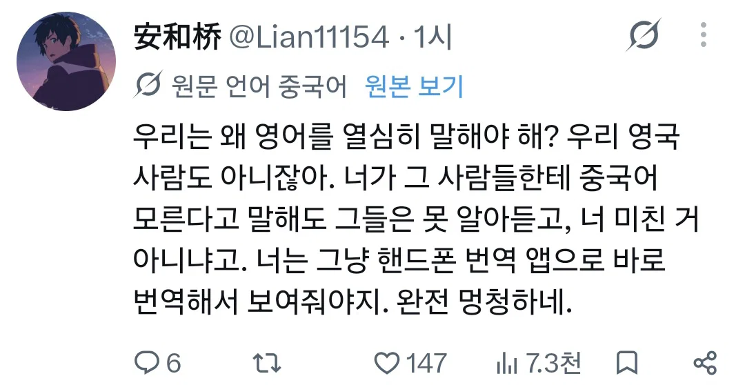 왜 한국여행와서 번역기나 영어 안쓰고 중국어만 쓰냐는 말에 발작난 중국인들 (3)