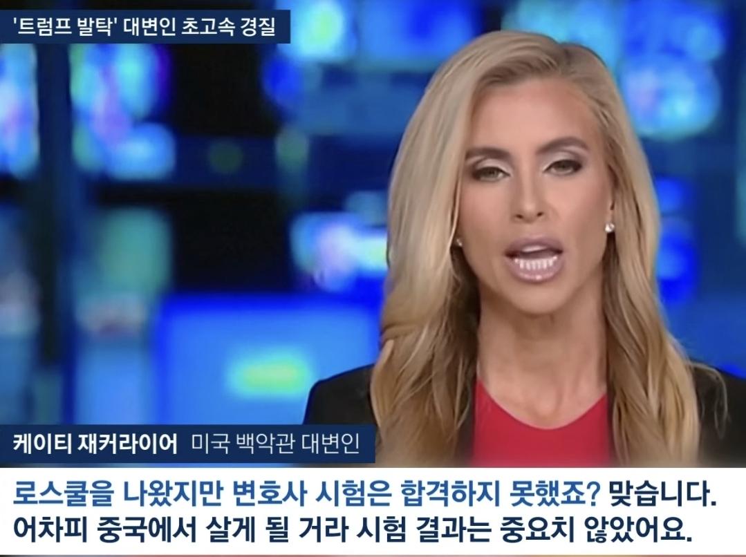 변호사 시험은 떨어졌는데 변호사는 맞다??? (4)