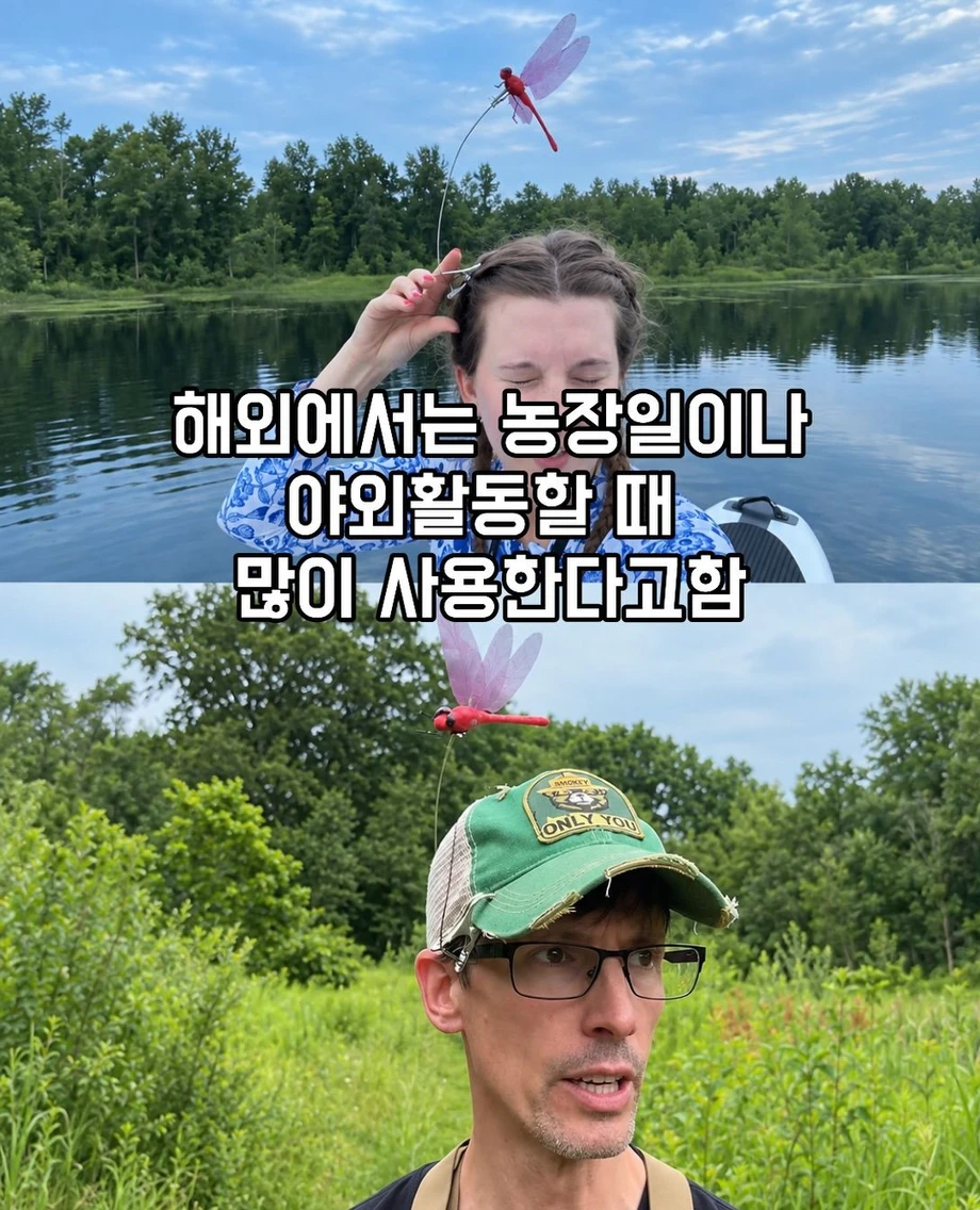 모기 퇴치에 효과있는 아이템 (3)