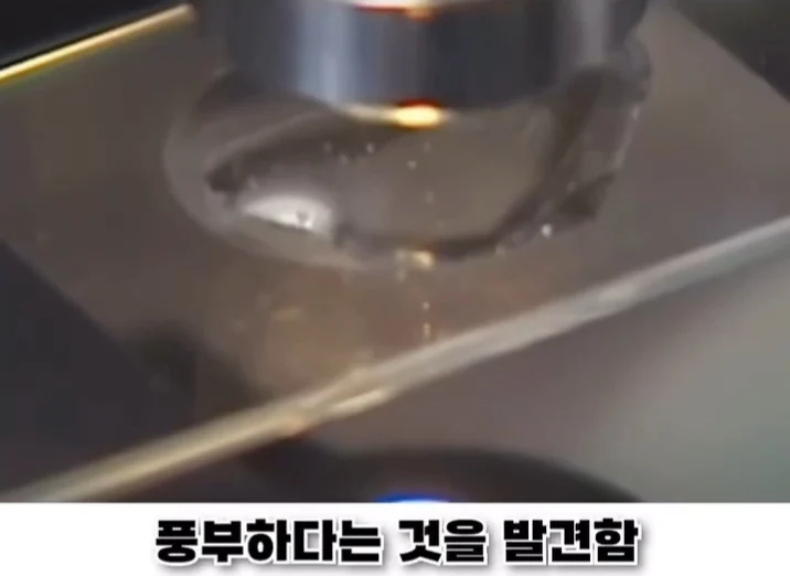 우리나라로 넘어온 바다의 무법자 불가사리의 최후 (22)