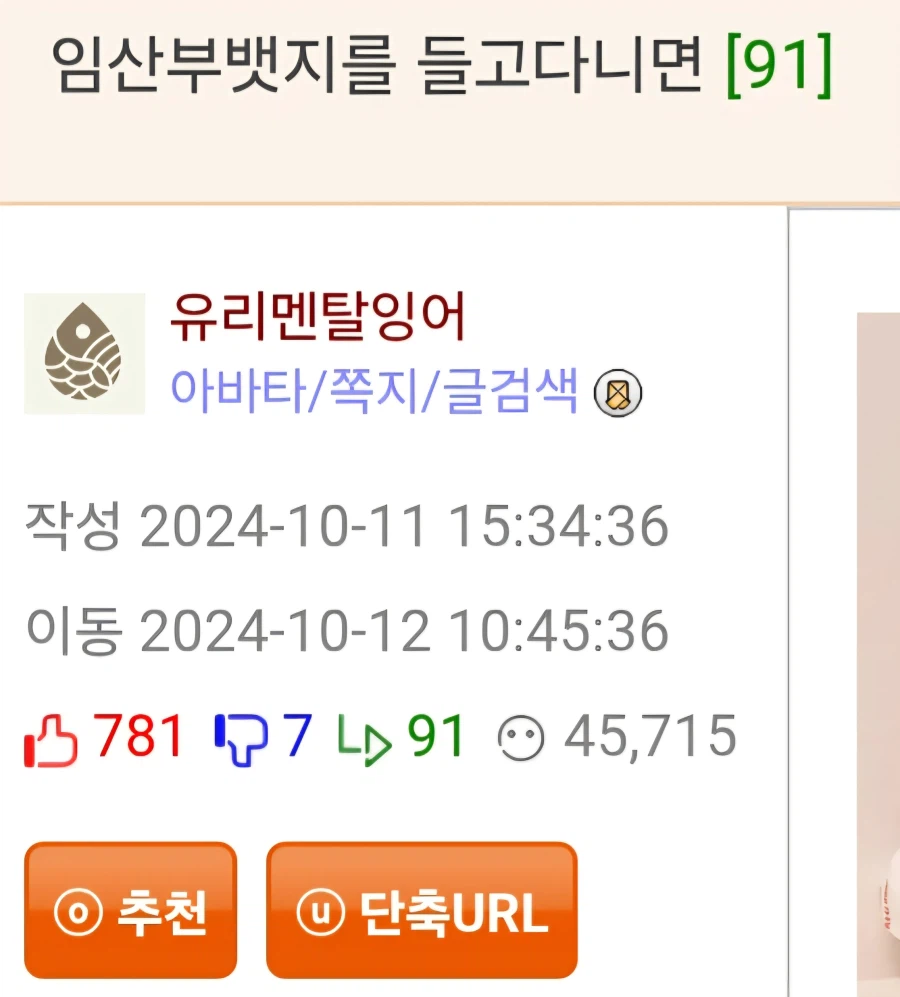 임산부가 뱃지를 달고다니면
