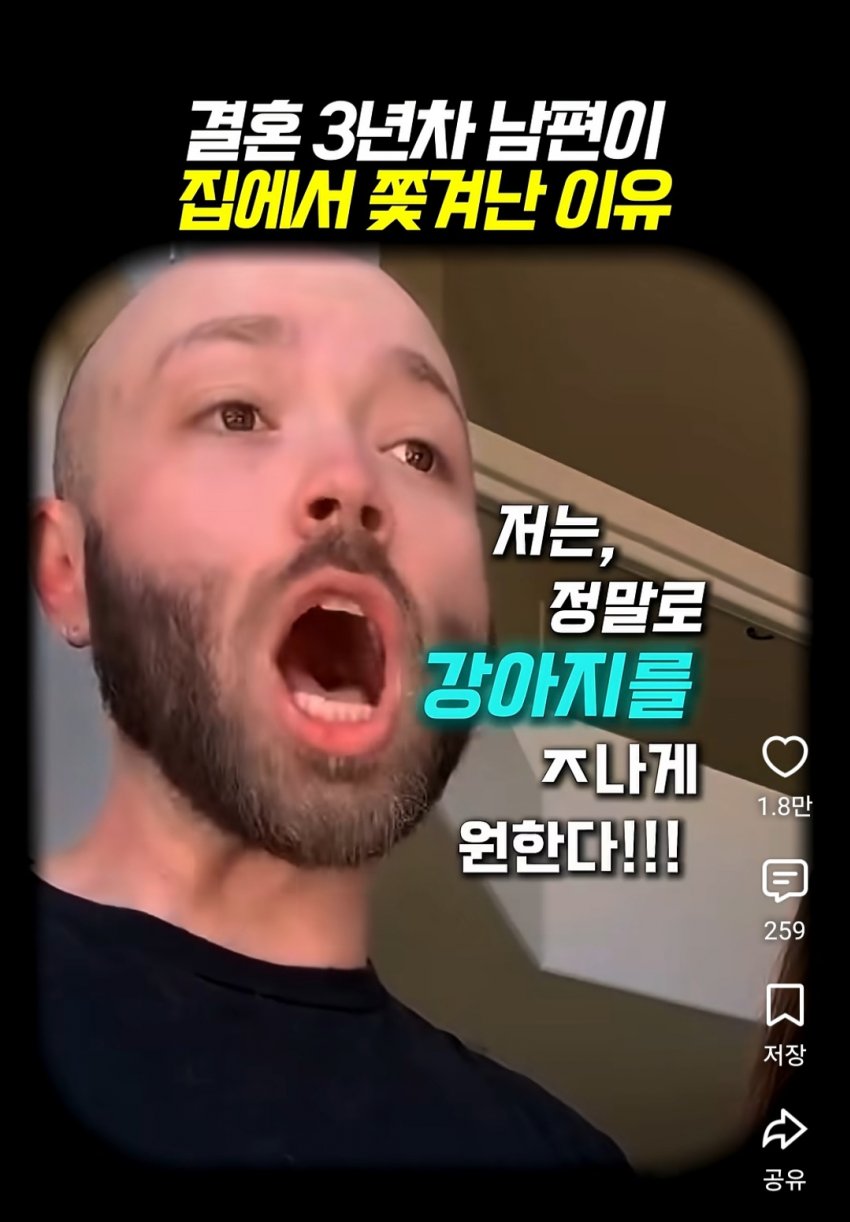훌쩍훌쩍 부부의 반려동물 고르기촌 (12)
