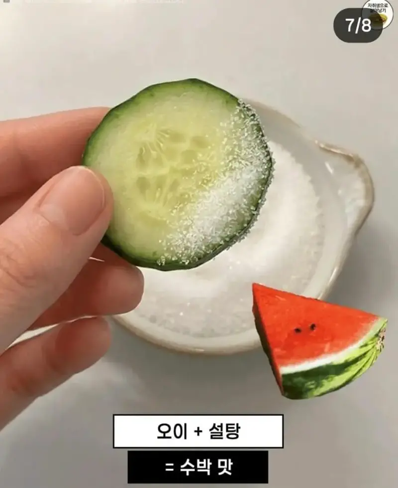요즘 유행이라는 개맛도리 음식 조합 (6)