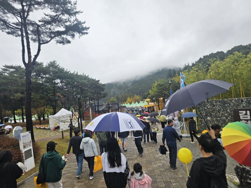 김밥축제 실시간 (6)