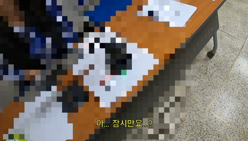도파민 도파민 다리절단됐는데 민방위통지서 온사람 (22)
