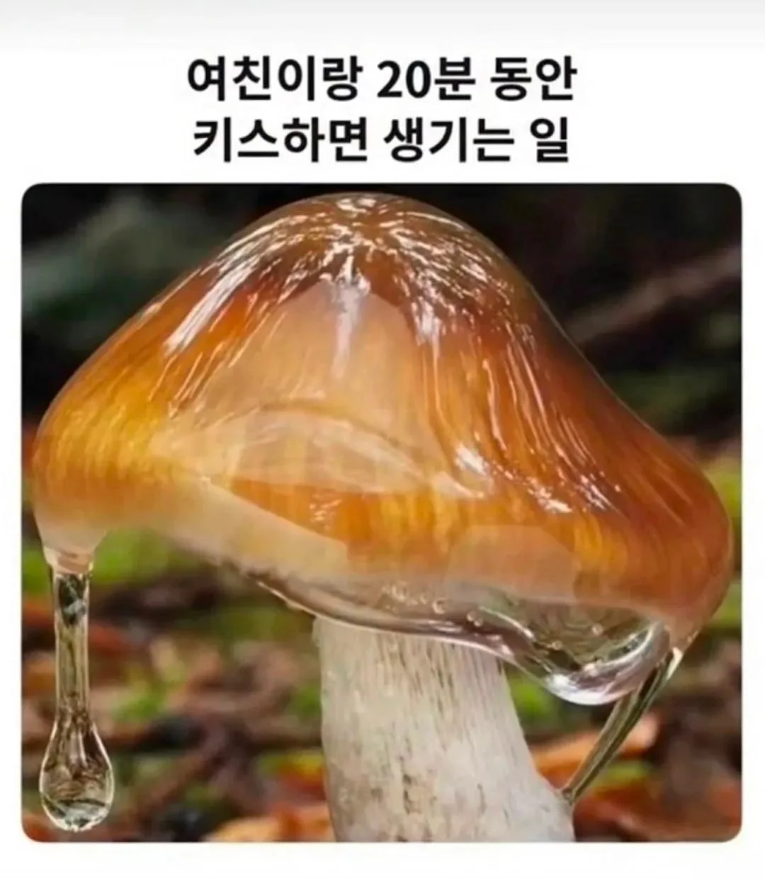 여친이랑 키스만 20분 동안 하면 생기는 일