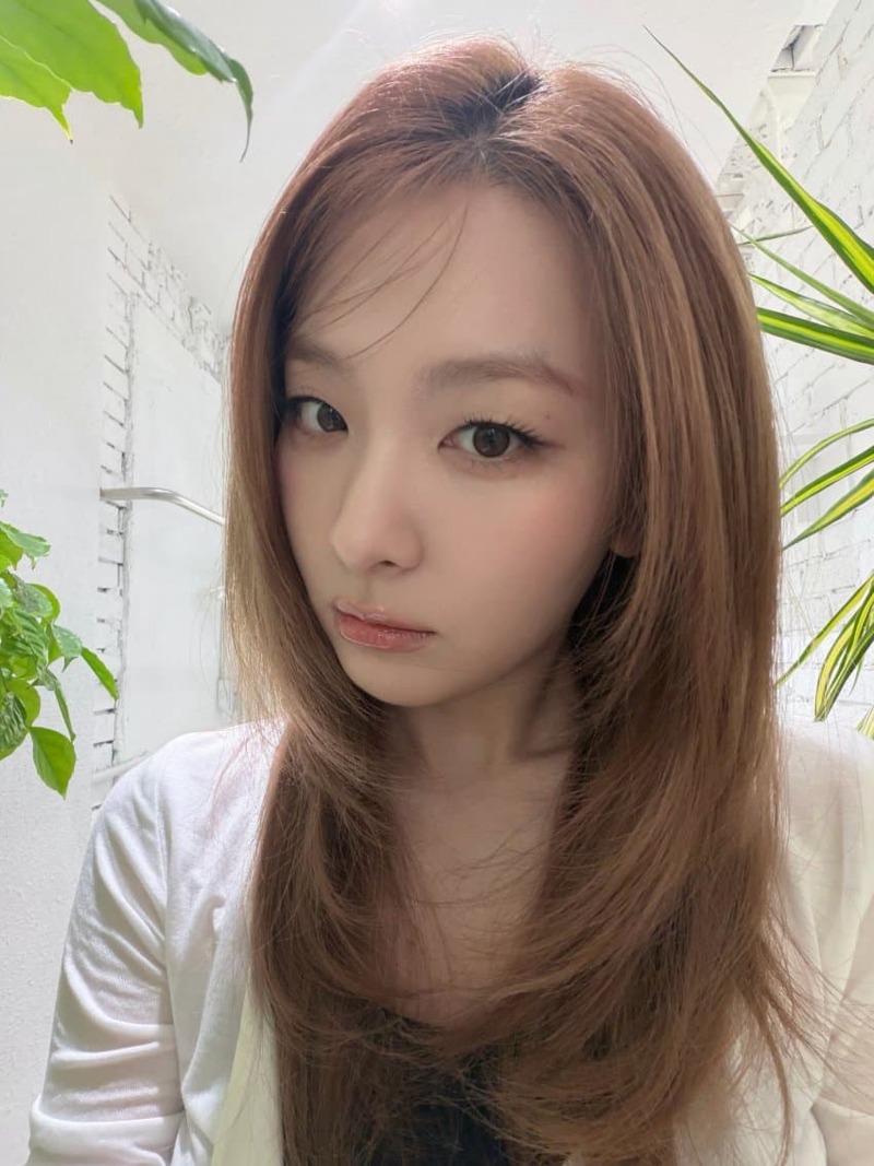 레드벨벳 슬기 (13)