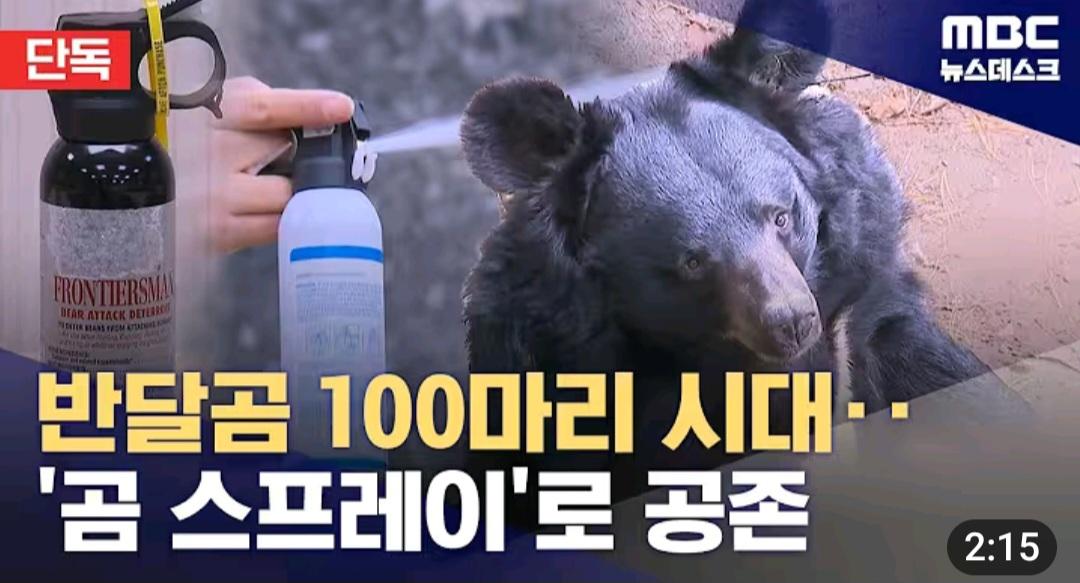 설악산에도 곰 풀어놓자는 전문가들
