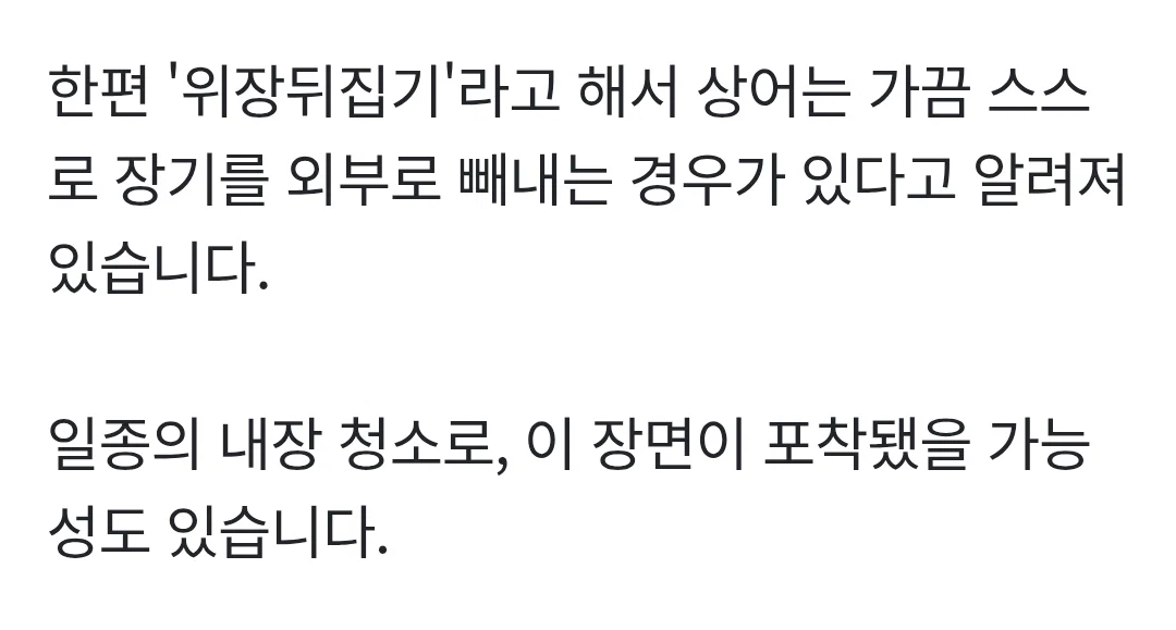 위장을 밖으로 꺼내 장세척 하는 부캉이(와 글에 달린 댓글들) (5)