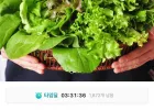 당일수확 신선한 유럽샐러드 채소 1kg
