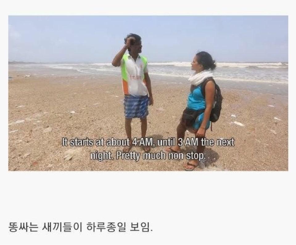 인도의 거대 화장실 (6)