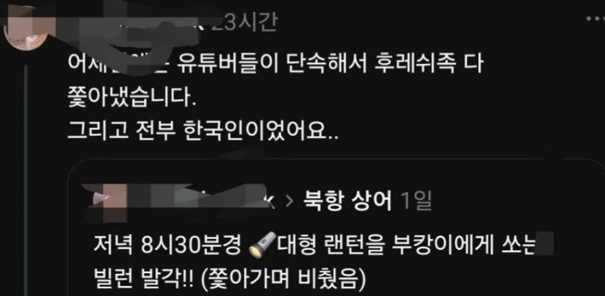 훌쩍훌쩍 죽기 직전이라는 부산 상어 (7)