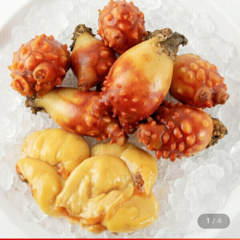 [지마켓] 국내산 통영 깐멍게 500g (9,520원 / 무배)