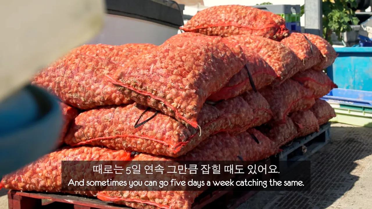 영국 골뱅이 어부들 입맛까지 낚아버린 생애 첫 골뱅이 무침! 5-35 screenshot.png 골뱅이 잡는 영국 어부들에게 한국 골뱅이무침을 먹여봤다 ㅋㅋㅋㅋㅋ