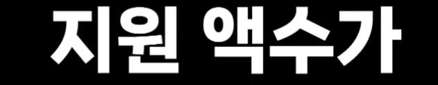 일본 (29)