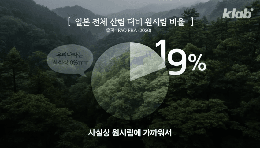 깜짝 .. 일본숲이 유독 무서운 이유 ㄹㅇ . (13)
