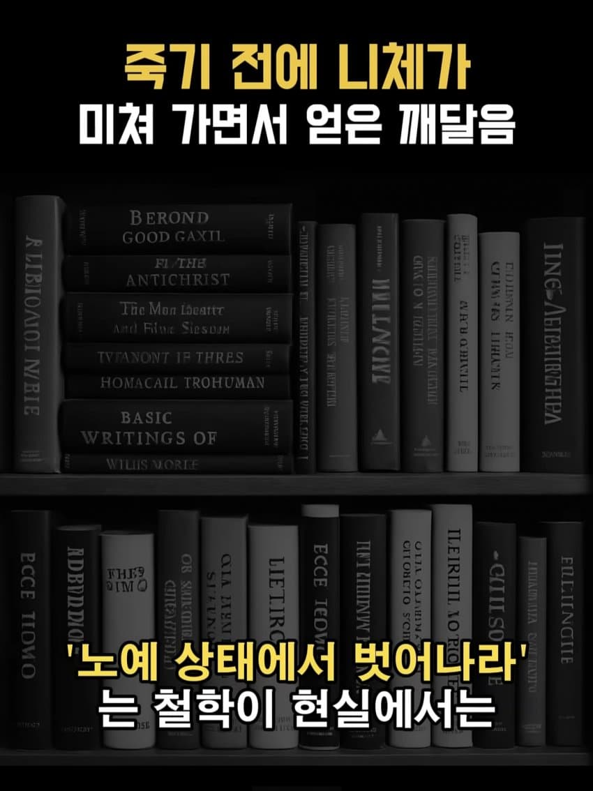 ㅂㅅㅂㅅ 니체가 죽기 직전에 미친 이유 (11)
