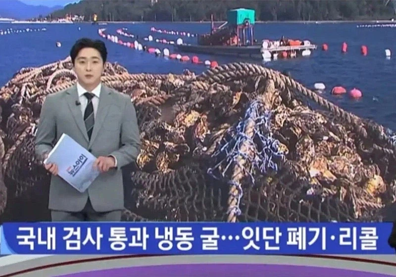현재 먹으면 ㅈ된다는 해산물 ㄷㄷㄷ;;