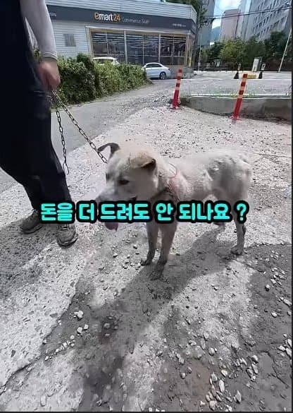 평생 목욕 한번 안 해본 차고지 지킴이 2살 한성이의 생애 첫 목욕대작전 (32)