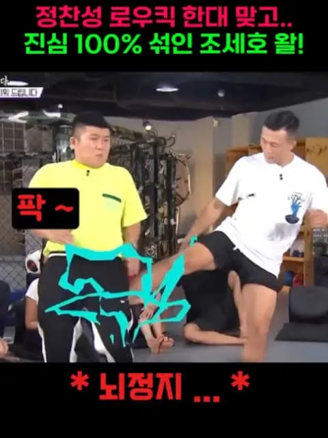 정찬성에게 로우킥 맞은 인간들의 최후