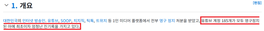 싱글벙글 유튜버 카광 근황.. 인방계 은퇴 선언 (6)