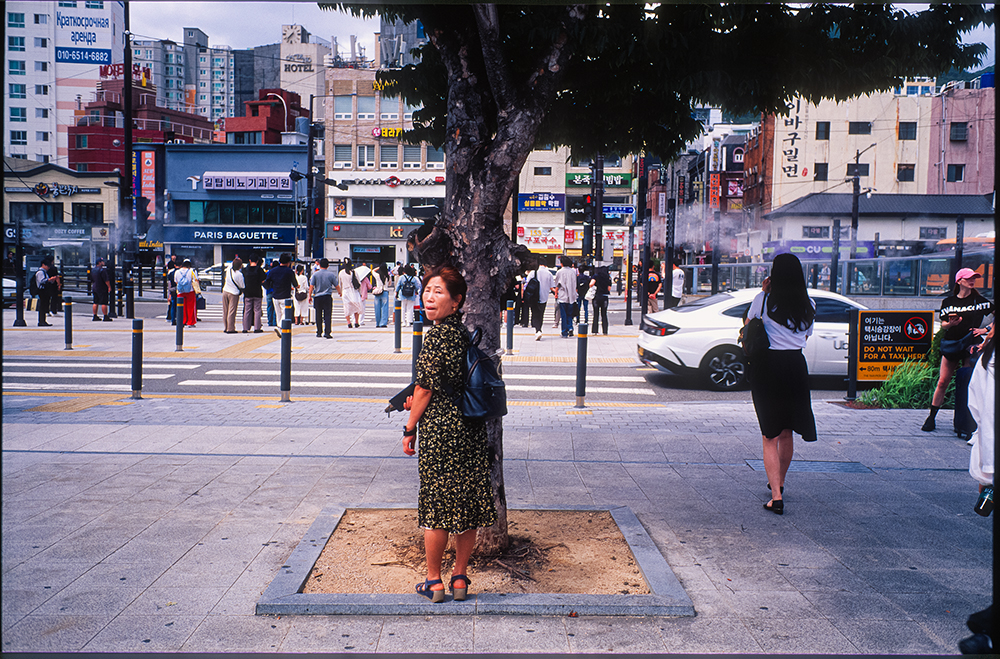 [velvia50]   부산 거리사진 (5)