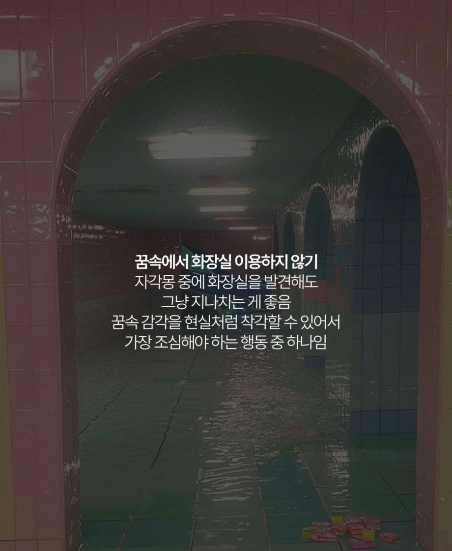 [스압] 자각몽을 꿀 때 해선 안 되는 행동들 (7)