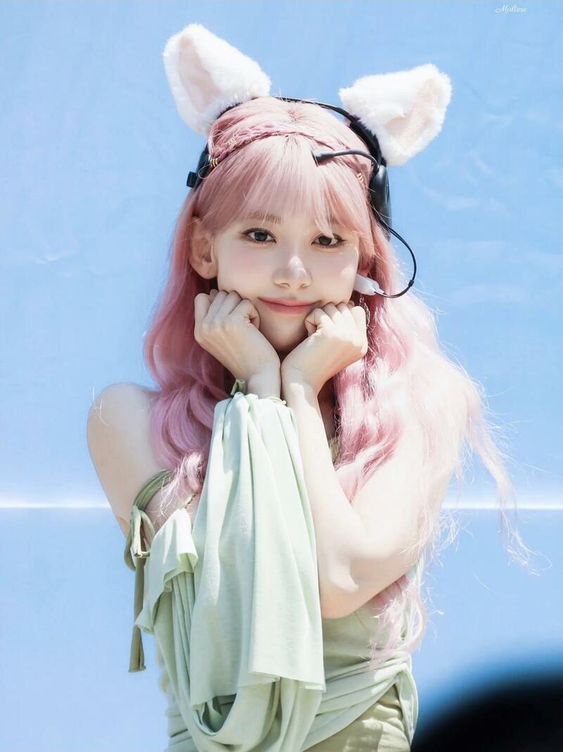 르세라핌 사쿠라
