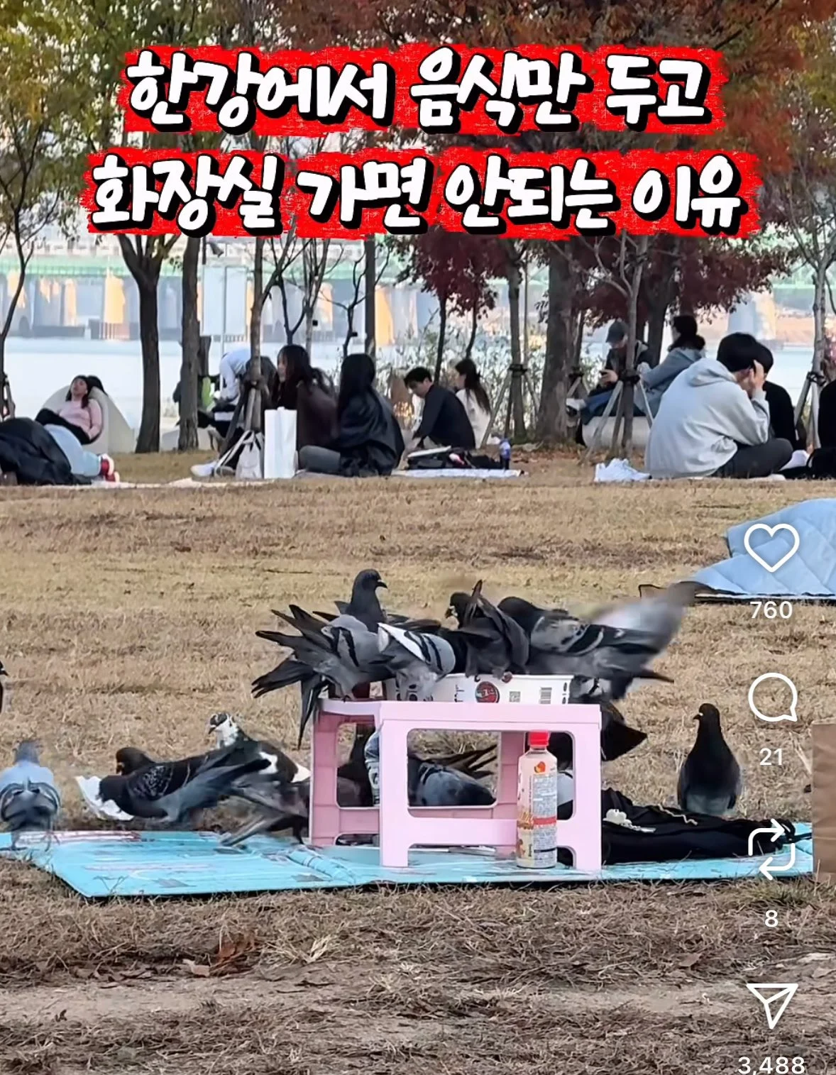 한강에서 음식만 두고 화장실 가면 안되는 이유