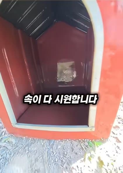 조회수1500만 견주 허락 없이 1개월 아기 강아지 그늘막 설치 사연, (26)