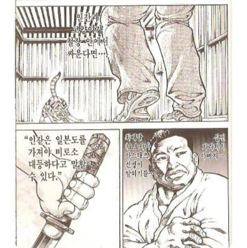 바키) 이해 안가는 비유