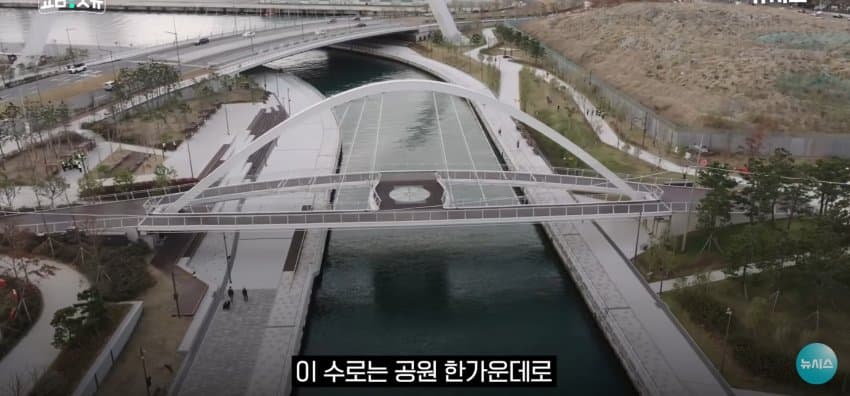 상어 한마리에 3만명 몰려, 부산 명소가 된 북항 (12)