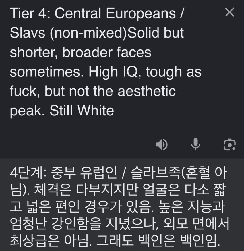 서양 커뮤에서 만든 인종 순위 20단계 (39)