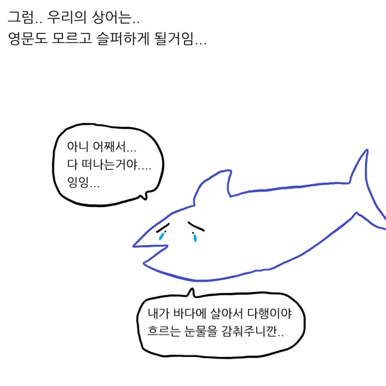 부산 상어의 미래 (11)