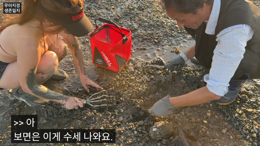갯벌에서 식자재 해결하는 여자 (17)