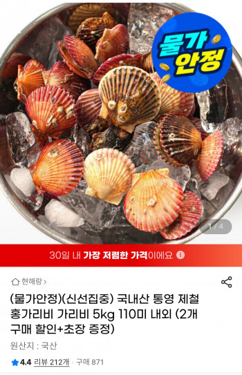 [지마켓] 국내산 통영 제철 홍가리비 3kg (8,930원 / 무배)