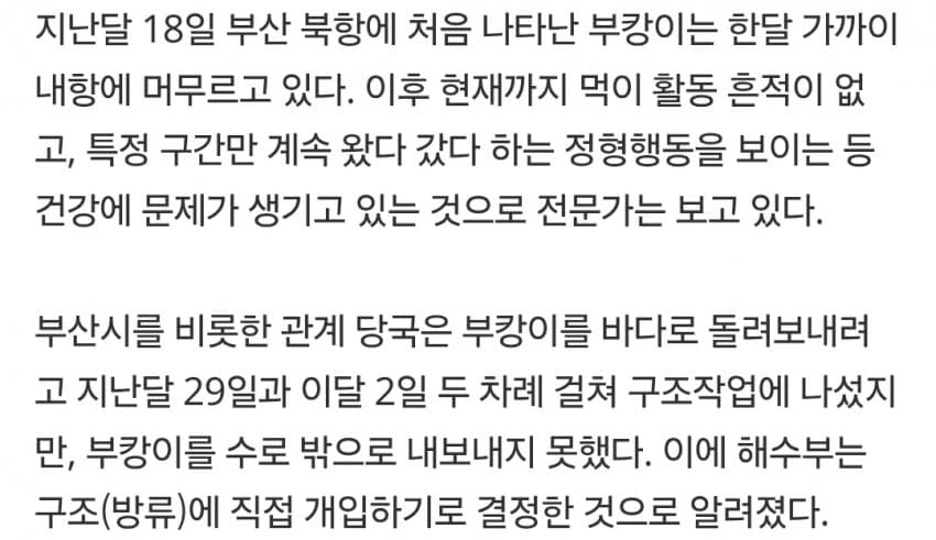 부캉이, 12월에 죽을지도…수온 하락에 폐사 가능성 나왔다 (7)