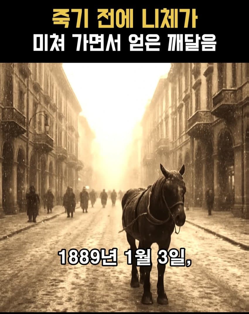 ㅂㅅㅂㅅ 니체가 죽기 직전에 미친 이유