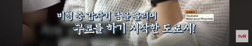 싱글벙글 심장 통증으로 비행기에서 쓰러졌는데 심장 전문의 15명이 타고 (3)